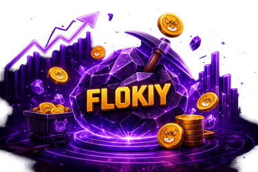 Flokiy Network balance preview